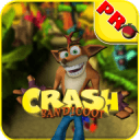 Crash Bandicoot The Huge Adventure2.0