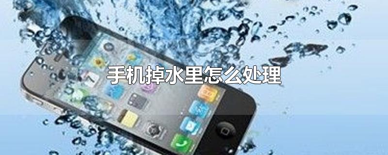 手机掉水里怎么处理-最新手机掉水里怎么处理整理解答