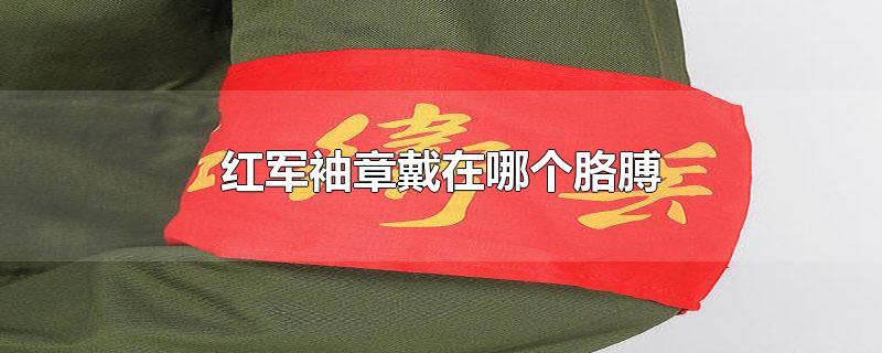 红军袖章戴在哪个胳膊-最新红军袖章戴在哪个胳膊整理解答