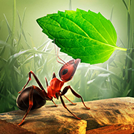 Little Ant Colony小小蚁群版无限金币版