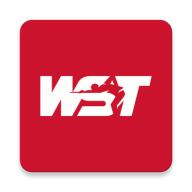 WST Snooker v1.0.1安卓版