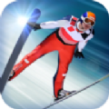跳台滑雪大冒险(Ski Jumping Pro)logo图片