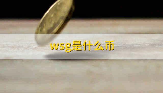 wsg代币简介-wsg是什么币？