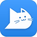 辅导猫