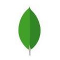 MongoDB Compass