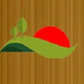 宝宝乐园