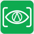 识字体