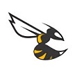 betaflight