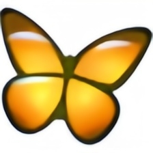 FreeMind 思维脑图