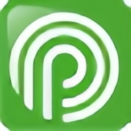 P2P终结者