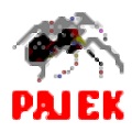 pajek