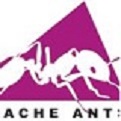 Apache Ant