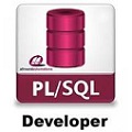 PL/SQL Developer