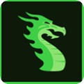 DragonBones