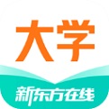 新东方大学考试