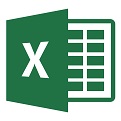 excel2009