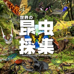 ‎世界の昆虫採集